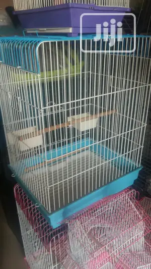 Parrot Bird Cage Medium