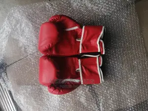 Everlast Boxing Glove