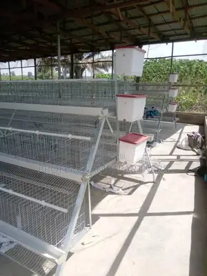 Hot Dipped Galvanized Imported Cages (120)