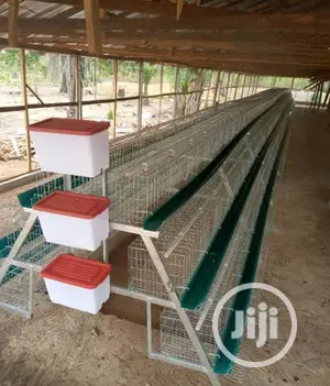 Imported Poultry Cages For 96 Birds