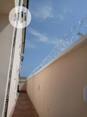 Concertina Barb Wire; Galvanized and Stainless