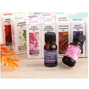 Essential Oils Moisturizing Scented Lamp Aroma Diffuser