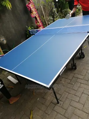 Indoor Table Tennis