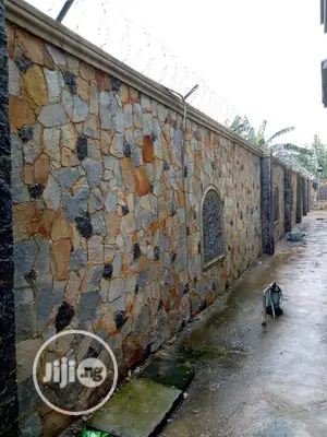 Cladding Stone for Design