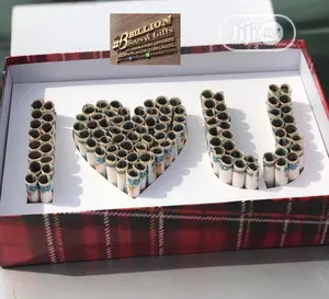 Unique Design of Gift Box Money Box