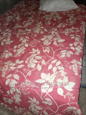 4.5by6 USA/Canadian Spring Memory Mattress
