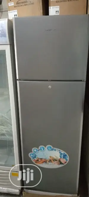 305 Litters of Fridge. Hisense