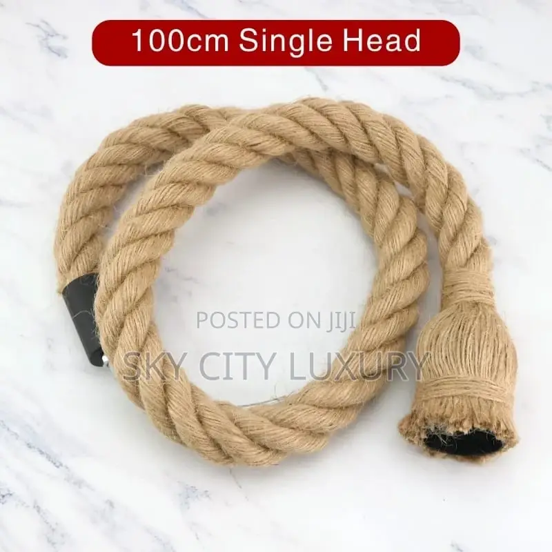 Single Pendant Light