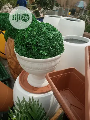Flower And Flower Vase