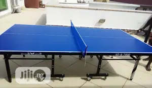Butterfly Outdoor Table Tennis Board