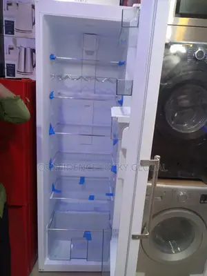 Cabinet Fridge