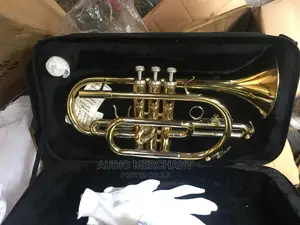 Professional Cornet