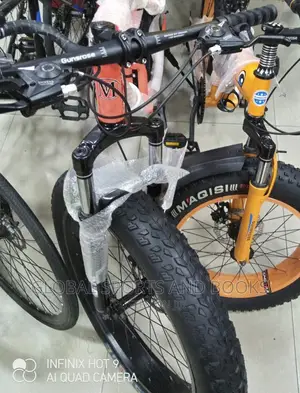 Giant Tyre Adult Bicycle For Adult And Children