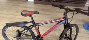 Phoenix Bicycle