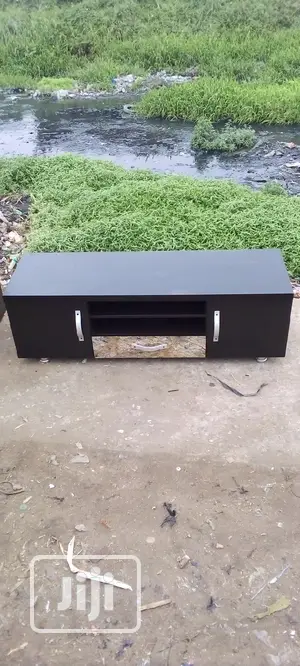 Wooden Plastma Shelves
