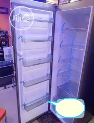 Standing Deep Freezer