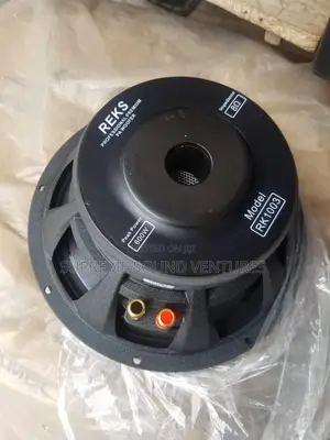 10 Inches Naked Speaker