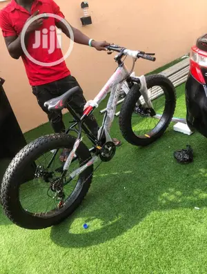 Fat Tyre Sport Bike