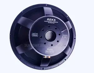 18 Inches Naked Speaker