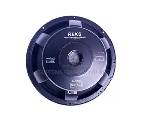 REK 15 Inches Naked Speaker