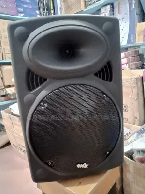12 Inche Public Address System