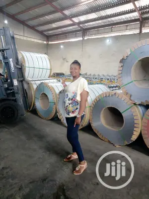 Macdav Builder's Aluminum Roofing Sheet
