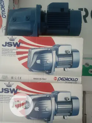 1 Horsepower Surface Pedrollo Pump Italian