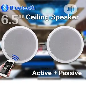 2in1 Bluetooth POP Ceiling Speaker