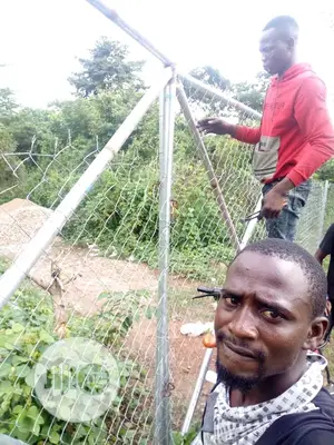 Chain Link Fencing For Farm