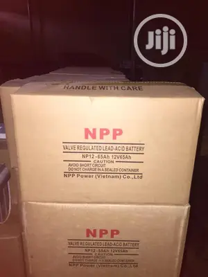 Npp Battery 12v65ah
