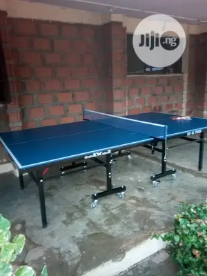 Indoor/Outdoor Table Tennis Board