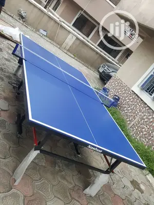 Indoor/ Outdoor Table Tennis
