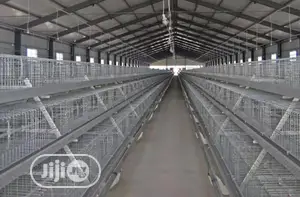 A Type 3 Tiers 120 Birds Per Set Poultry Cages