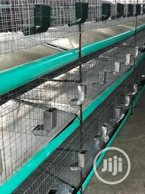 Rabbit Cage Fabricated