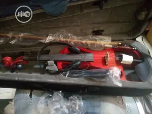 Professional Electric Violin