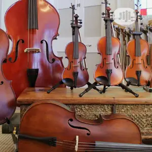 Professional 4/4 Violin