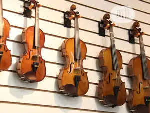 Professional 4/4, 1/3 Standard Violin