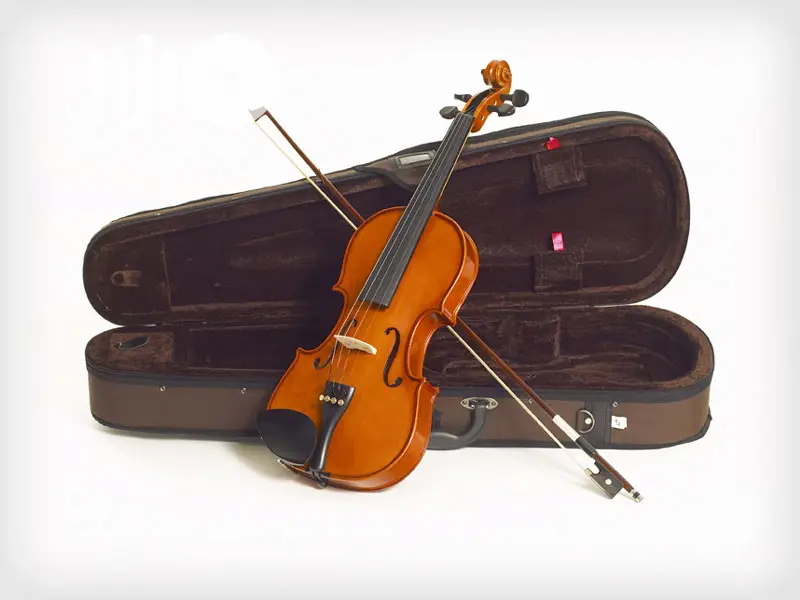 Professional Standard Violin