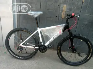 Apollo Big Tyre Sport Bicycle