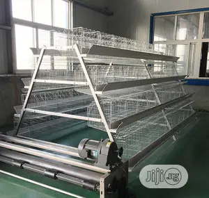 Automatic Poultry Cage China Factory Poultry Cage