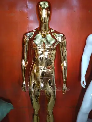Silve And Gold Male Chrome Mannequins