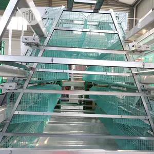 Poultry Cage / Automatic Poultry Cage / China Poultry Cage
