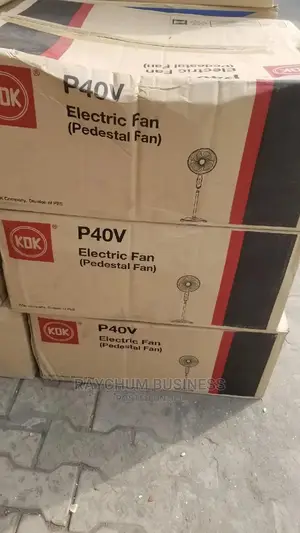 KDK Standing Fan P40V Electric Fan