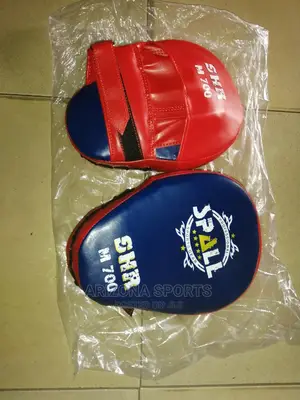 Boxing Coach Pad
