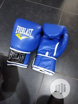 Everlasting Boxing Gloves