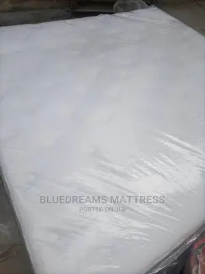 USA/Canadian Orthopedic Mattress