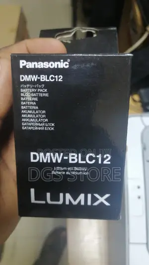 Panasonic Camera Battery DMW Blc12pp