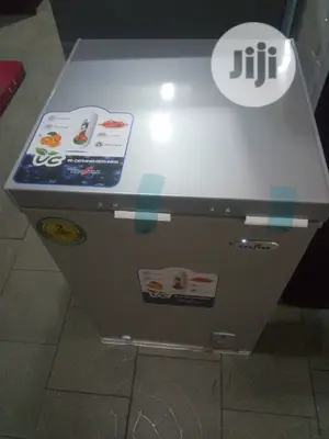 Skyrun Deep Freezer