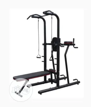 Exercise Training Bench and Chin Up