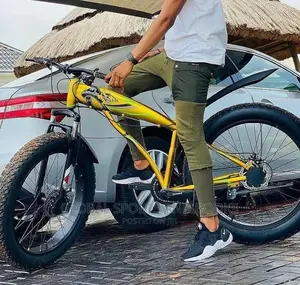 Big Tyres Bicycle
